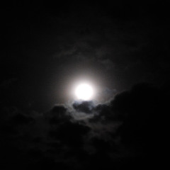 Ghost Armies - Cal Crilly