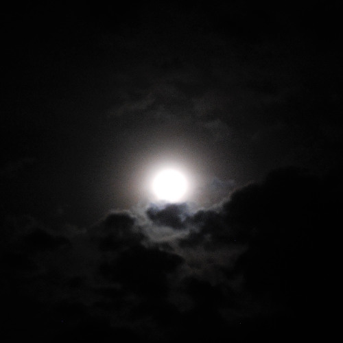 Ghost Armies - Cal Crilly