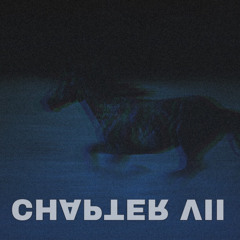 CHAPTER VII