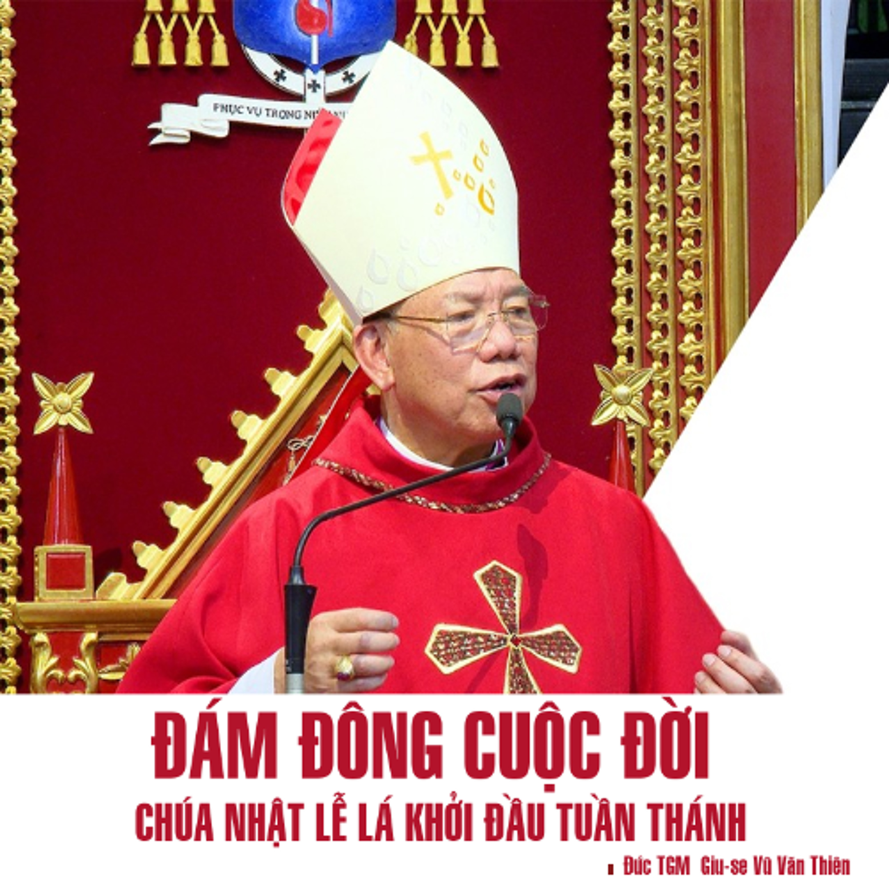 Đám đông cuộc đời || Chúa Nhật Lễ Lá || Đức TGM Giu-se Vũ Văn Thiên