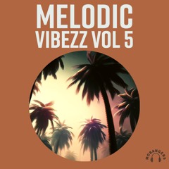 Melodic / Techno Music