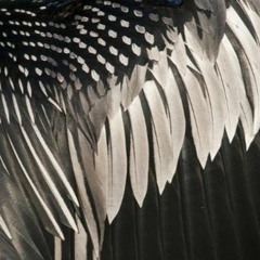 New private playlist