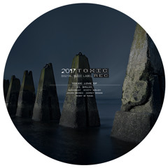 Toxxic Love (StiffyWalsh Remix) [feat. Stiffywalsh]