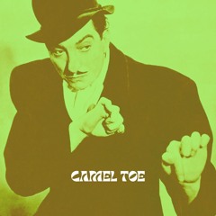 Camel Toe (ft. Nicole Joy of Monino 3)