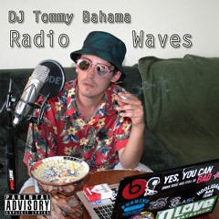DJ Tommy Bahama's Interlude