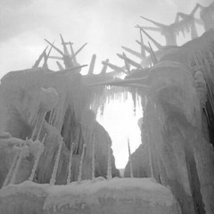 kashbnz - fuk yo gang