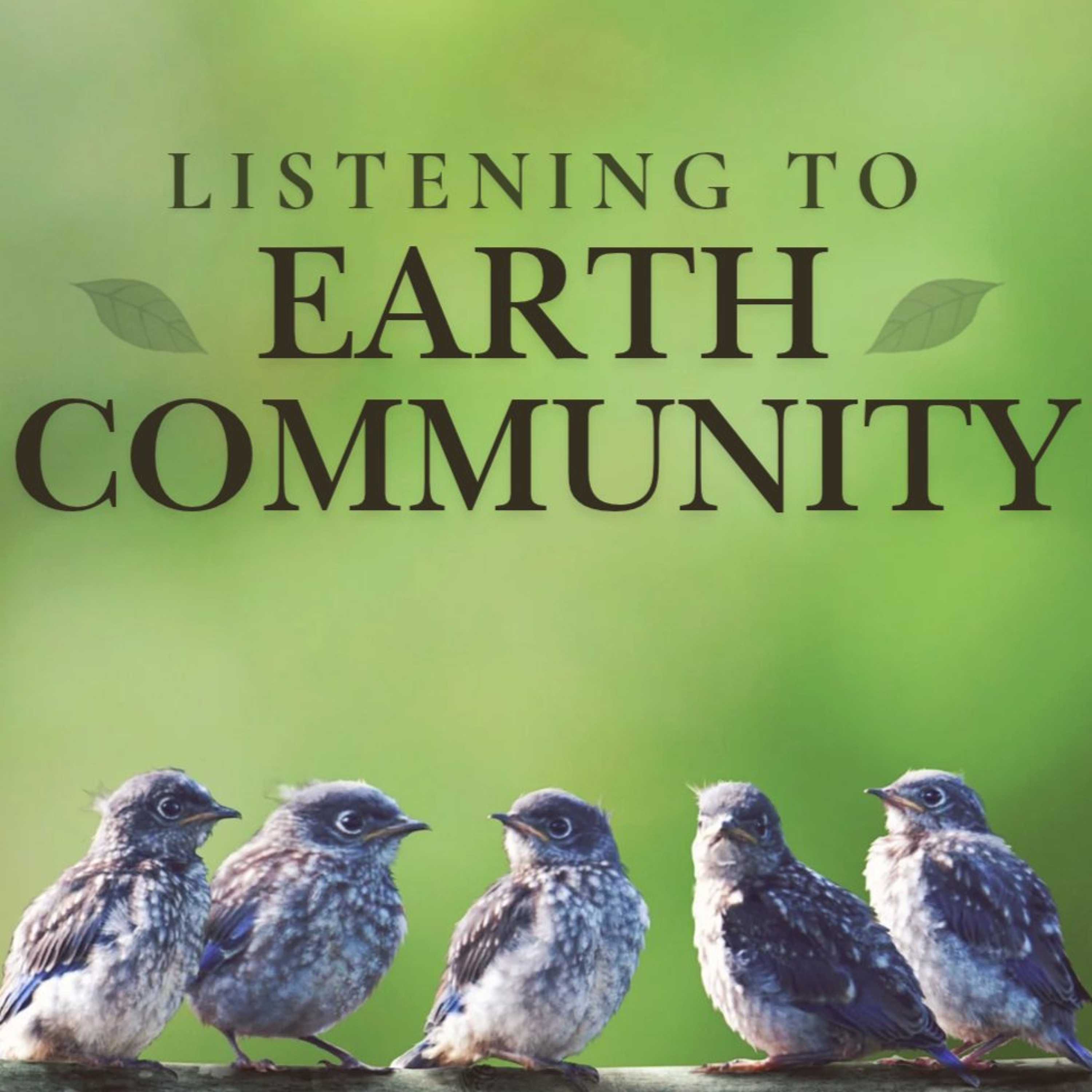 UCC Longmont Sermons
