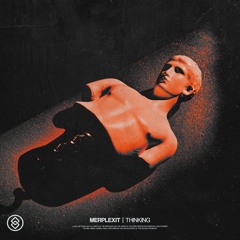 Merplexit - Thinking