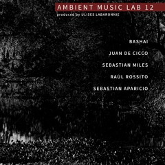Ambient Music Lab 12