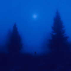 cold winter
