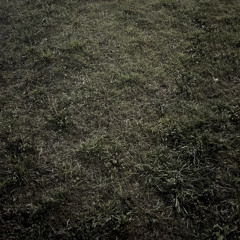 untitled (2) 5/16/2024