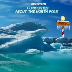 Curiosities about the north pole