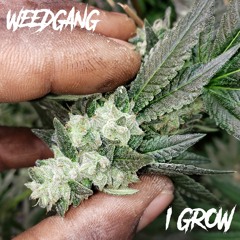 WEEDGANG - I GROW