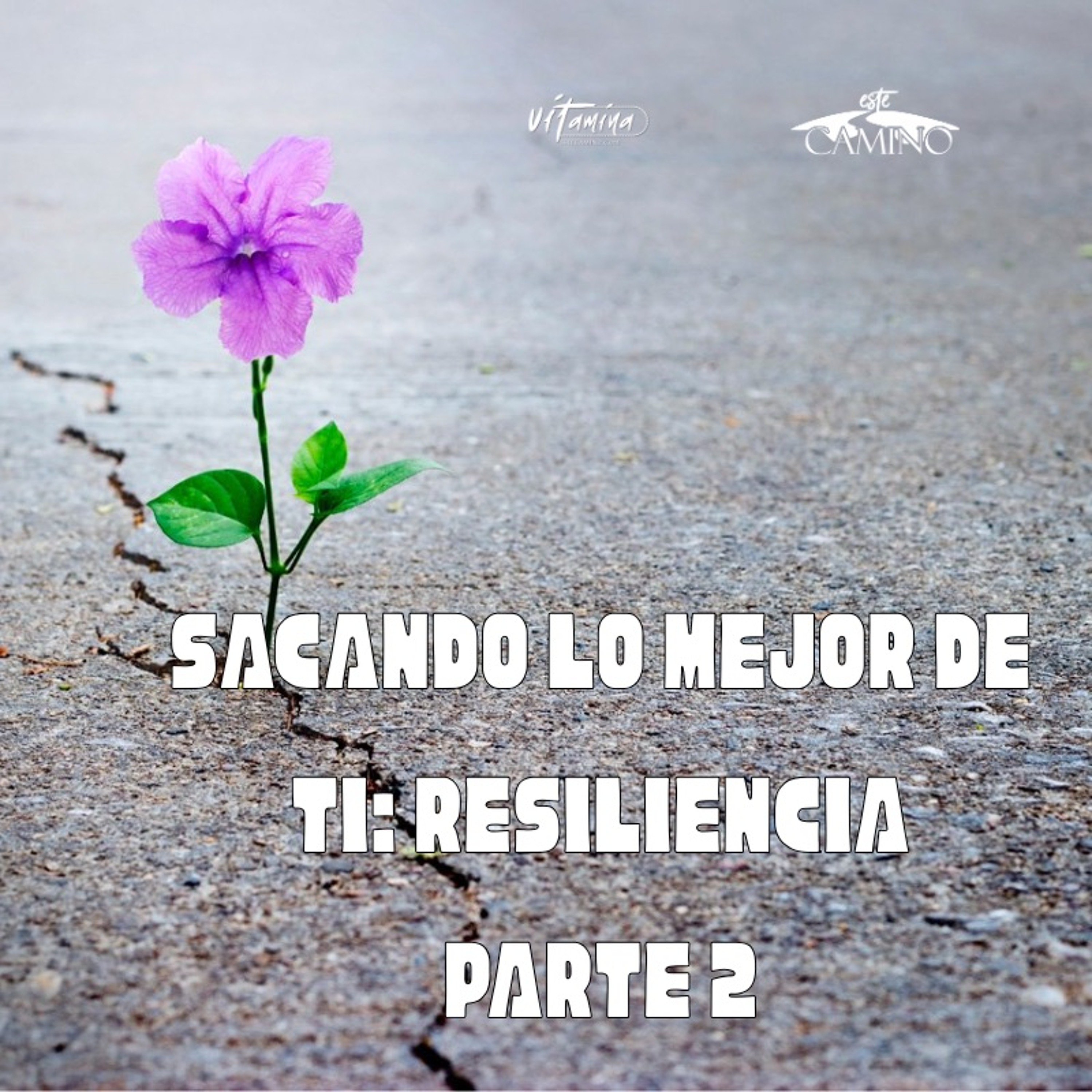 Resiliencia 2de2, Emilia episode artwork
