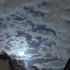 blocked ~ prod qmiiyagi