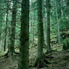 Harrowshire (Extended)