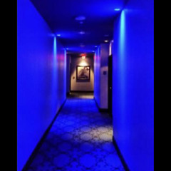Blue Lit Room