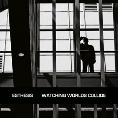 Esthesis - Skimming Stones