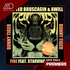 PREMIERE: Matteo Bruscagin, Awill - Fire (ft. Starving Yet Full)(Sharam Jey & Bakka Remix)