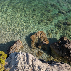 The Ocean is the Beginning of the Earth (Original von Starhawk/Philipp Stegmüller)