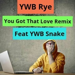 You Got That Love Remix Feat YWB Snake