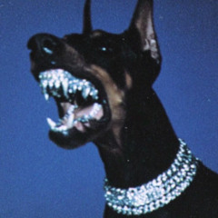 DEAD RICH