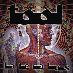 Ticks & Leeches
