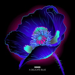 D00d - A Delicate Blue 💙