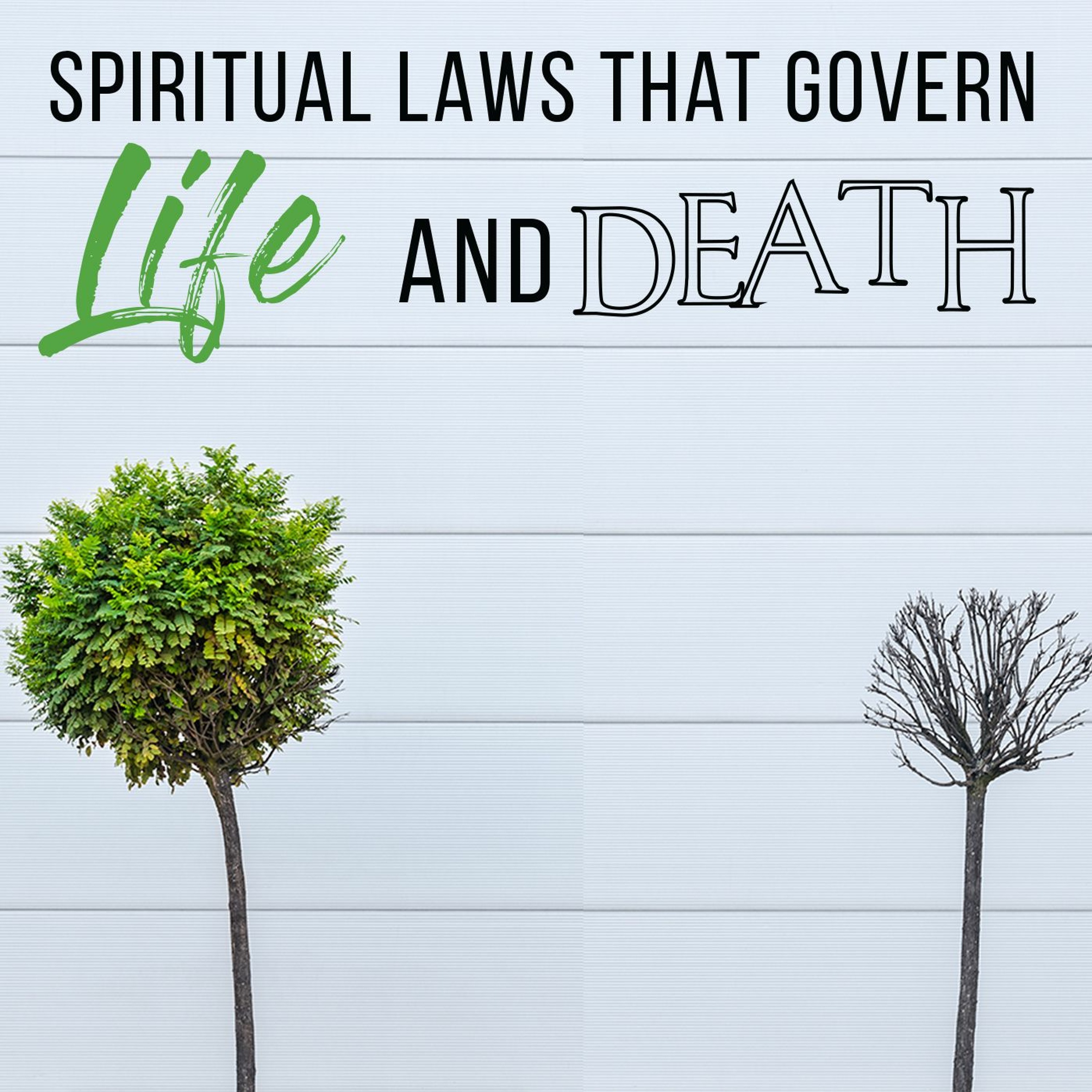 Spiritual Laws that Govern Life and Death episode artwork