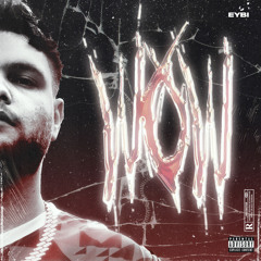 WOW [Prod. Habibi]