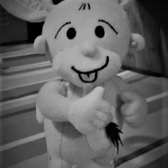 Daniel Seiler @Amsel Geburtstag 2020