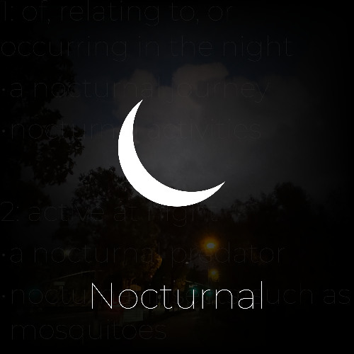Stream Nocturnal by iji | Listen online for free on SoundCloud