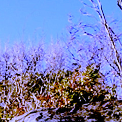 Werewolves (prod. prodbystone)