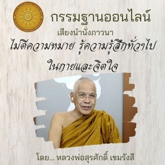 ไม่ตีความหมาย รู้ความรู้สึกทั่วๆ ไปในกายและจิตใจ