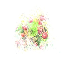 Strawberries Under The Snow