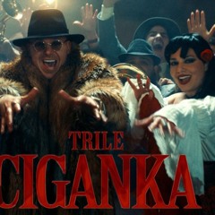 TRILE X GRSE - FORZA CIGANKO (DJ MILOS S. VIP EDIT X JUICE MASH UP 2025).mp3
