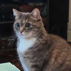 Child Of Christmas Night