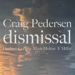 MW011: Craig Pedersen - dismissal