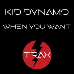Kid Dynamo - When You Want (Radio Edit)