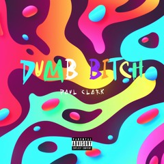 Paul Clark - Dumb Bitch (UNRELEASED)(Radio Edit)