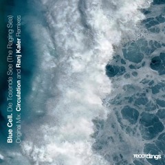 Blue Cell - Die Tosende See (The Raging Sea) (Ranj Kaler Remix) | Stripped Recordings