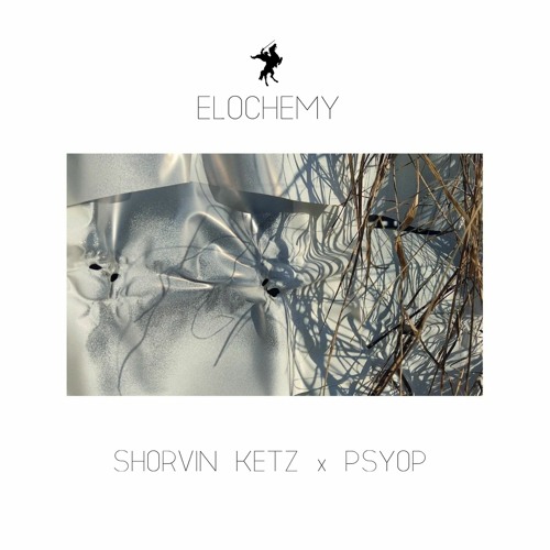 01 Perforator Of Fortune