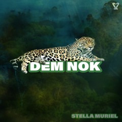 DEM NOK
