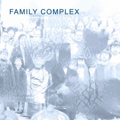 Family Complex (excerpt)