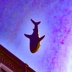 Ikea Shark Falling From The Sky