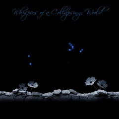 Whispers of a Collapsing World
