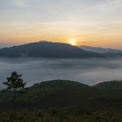 Tình Khúc Blues (Nhạc Chính Mung, lời và hát Lam Thuỷ)