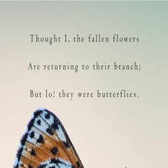 OneAmbient4 - But Lo! They Were Butterflies (Naviarhaiku 336)