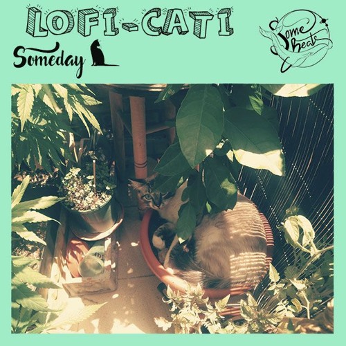 LoFi Cati [Full Tape] 🐈
