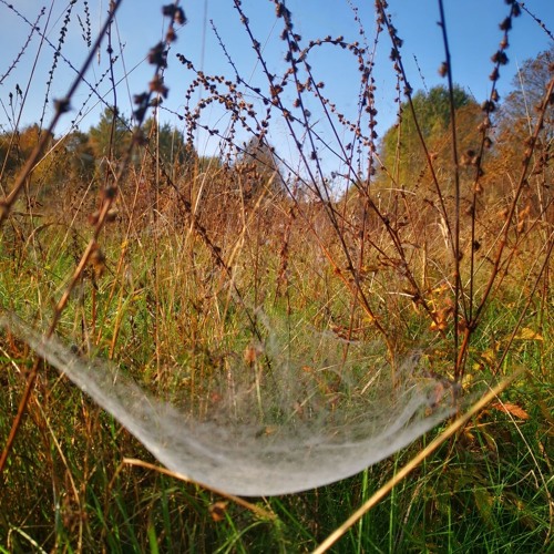 Smooth discomfort of stillness